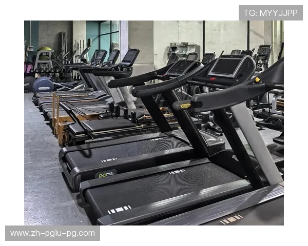 高原特色健身设备:云南力量训练器材专业测评